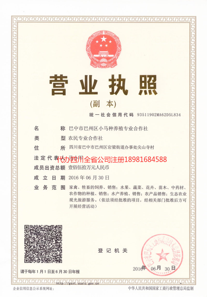 长寿长寿小马种养殖专业合作社